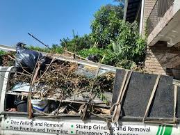 Best Yard Waste Removal  in Alamo, TN