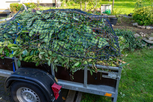 Best Shed Removal  in Alamo, TN